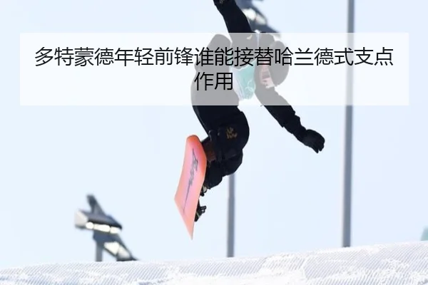 多特蒙德年轻前锋谁能接替哈兰德式支点作用